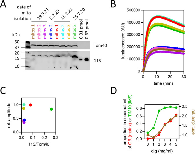 Figure 1—figure supplement 1.