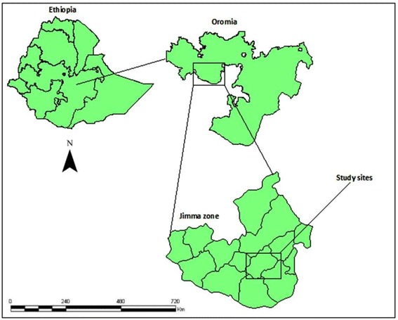 Fig. 1