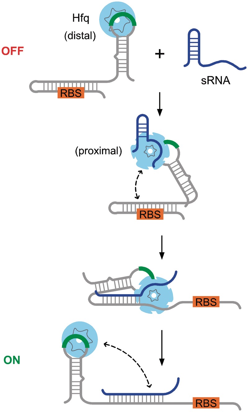 Figure 1.