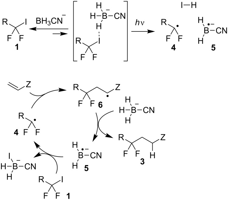 Scheme 2