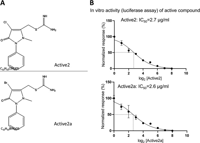 FIG 3