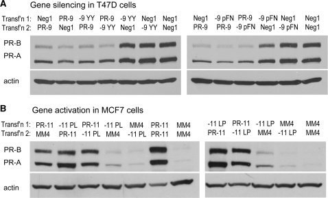 Figure 14.