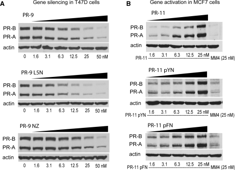 Figure 11.