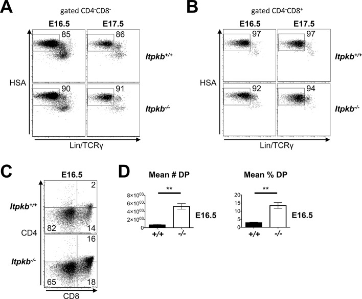 Figure 5—figure supplement 1.