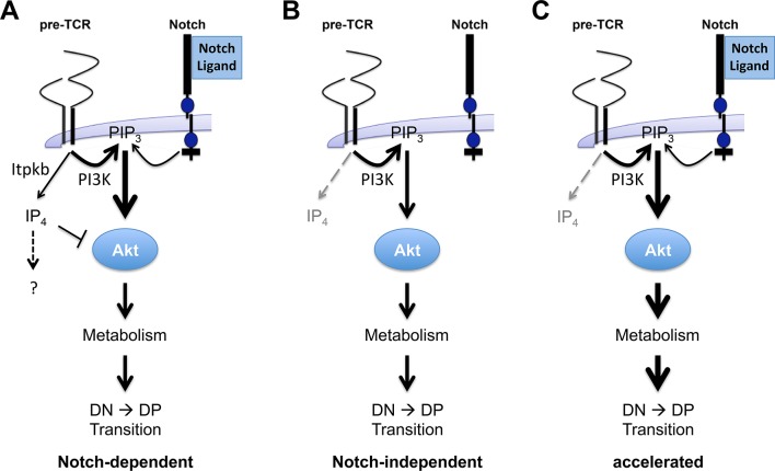 Figure 11.