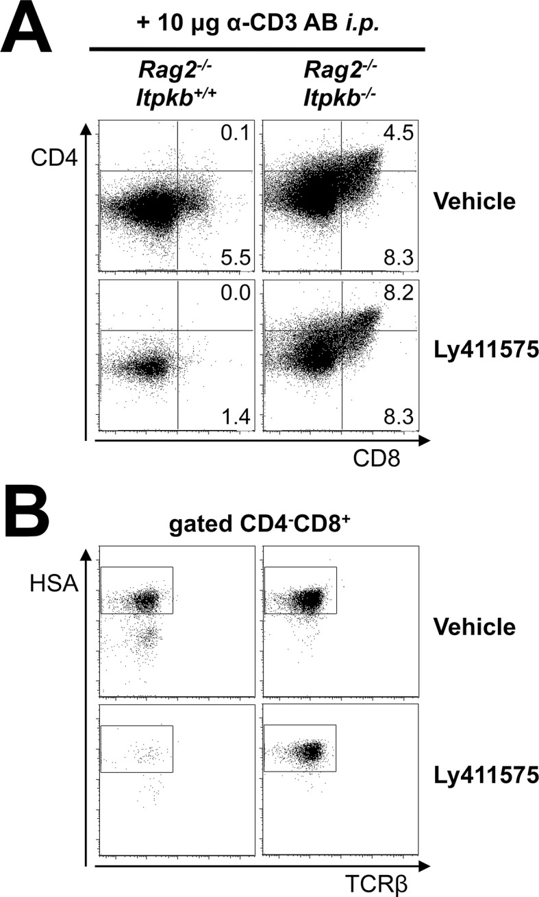 Figure 10.