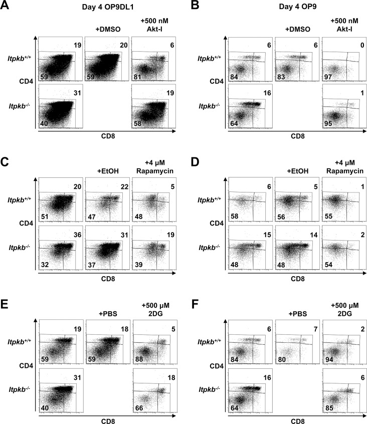 Figure 9—figure supplement 1.