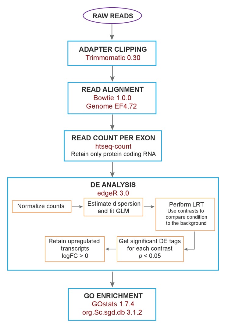 Figure 1—figure supplement 2.