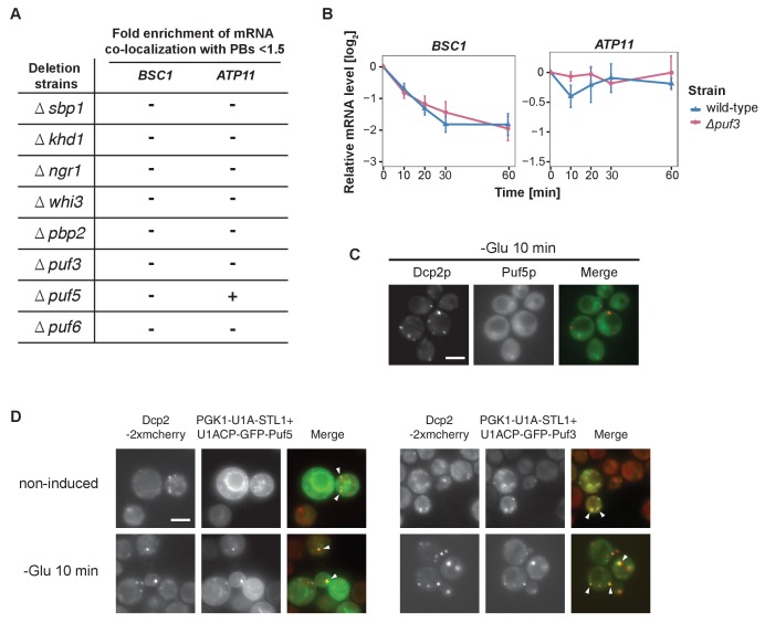 Figure 4—figure supplement 2.