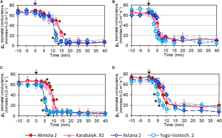 FIGURE 4