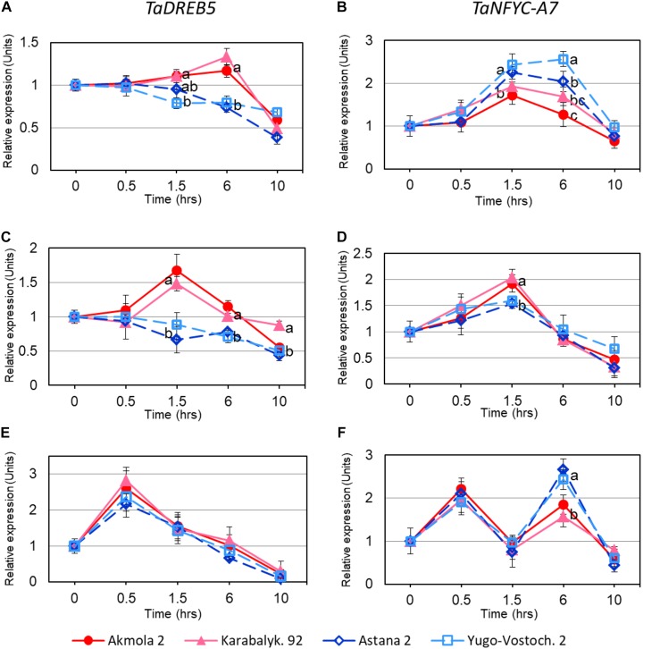 FIGURE 3