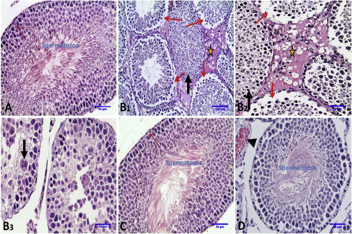 Fig. 4