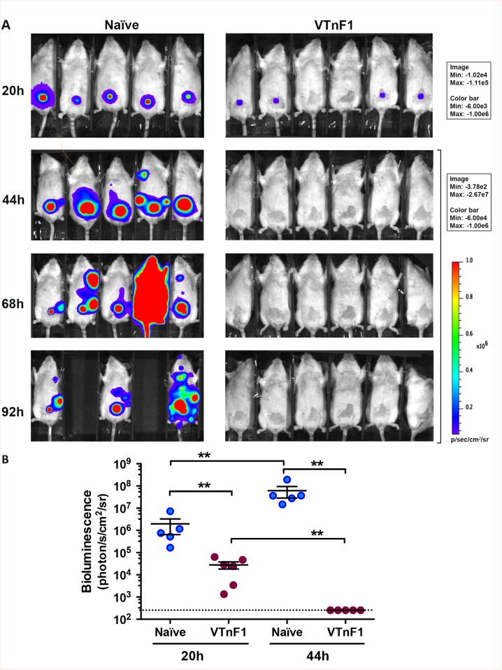 Fig 6