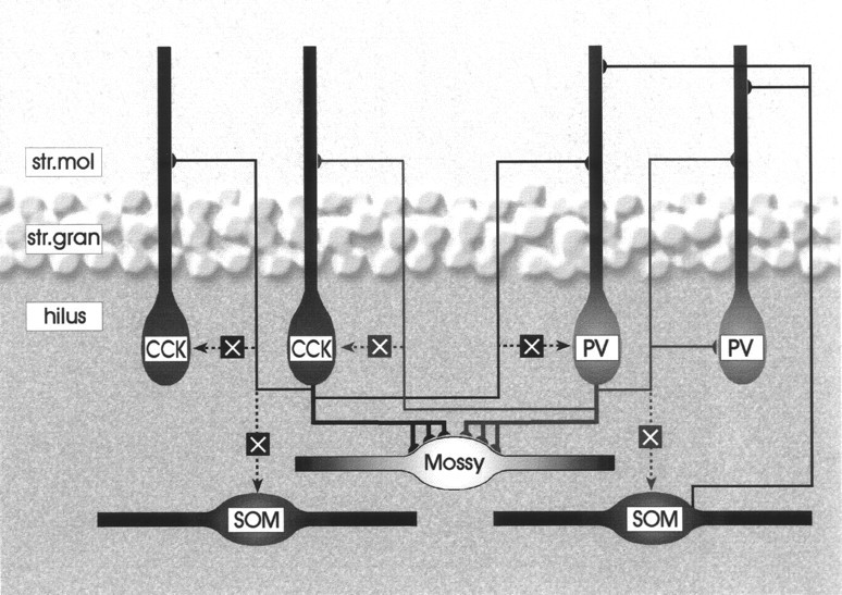 Fig. 9.