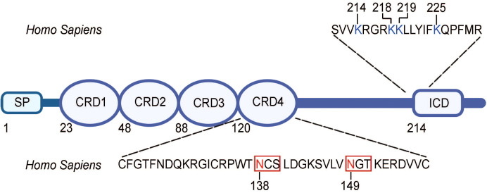 Figure 2