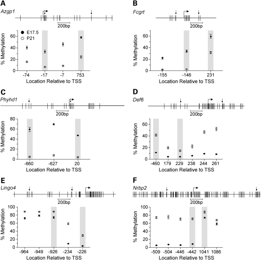 Figure 2.