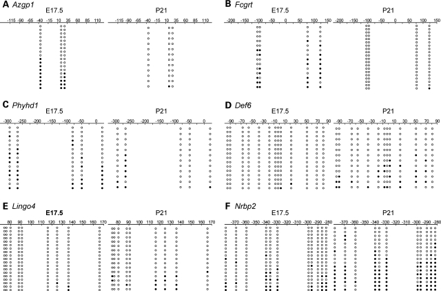 Figure 3.