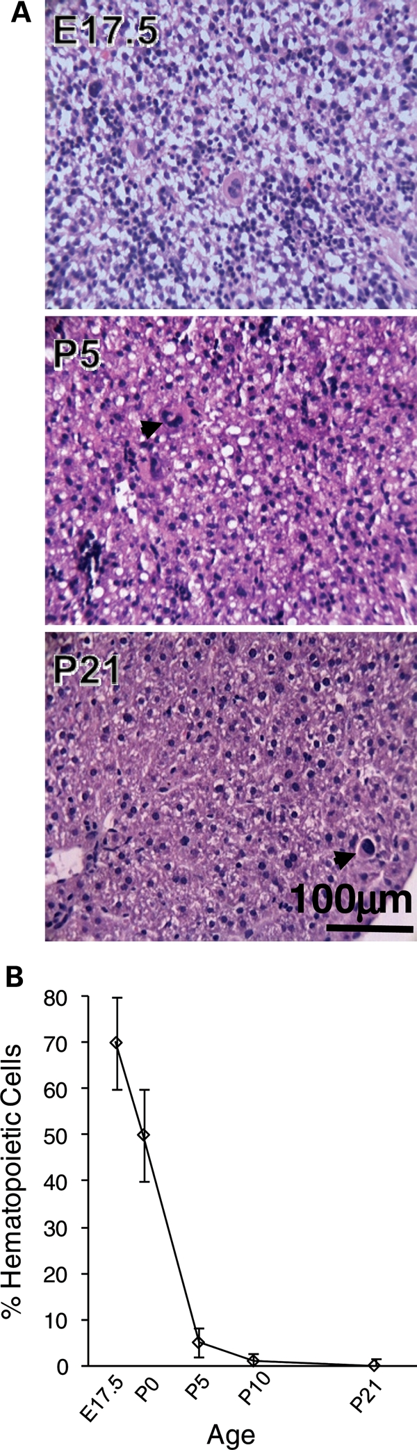 Figure 4.