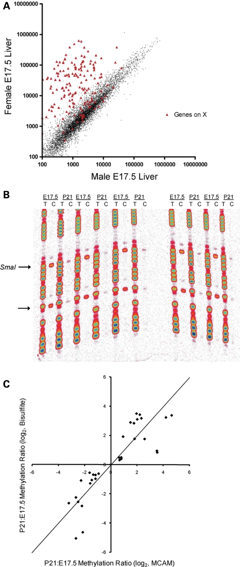 Figure 1.