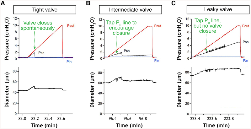 Fig. 13