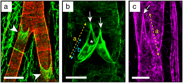 Fig. 9