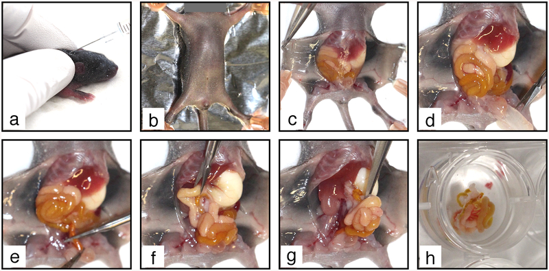 Fig. 5