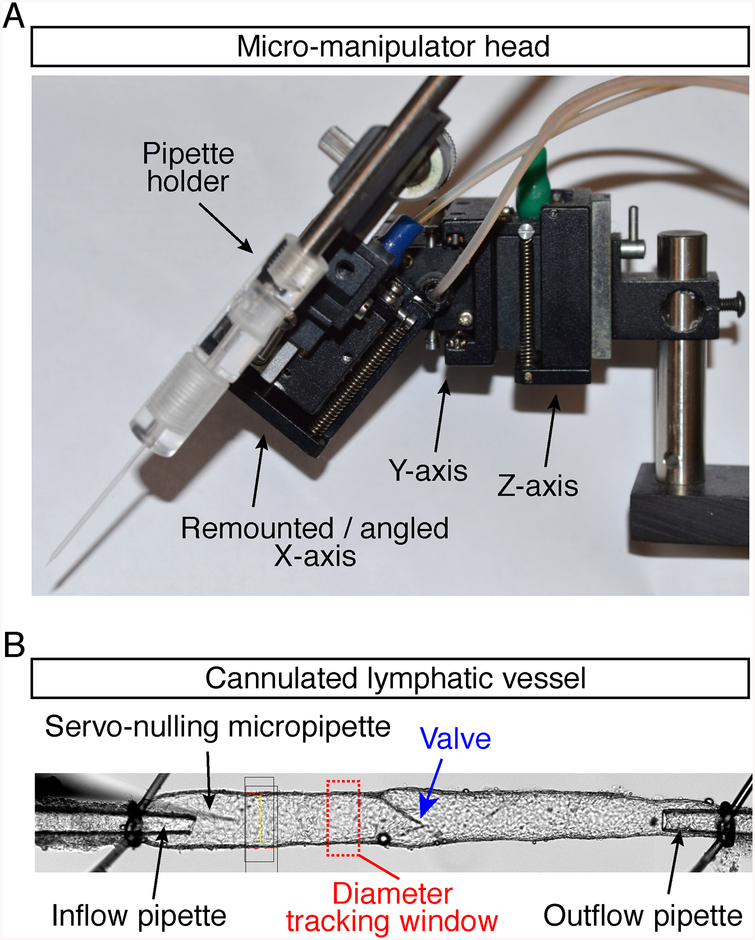 Fig. 12