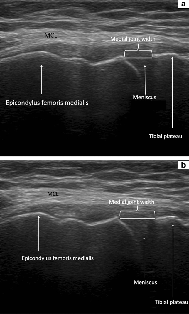 Fig. 2 