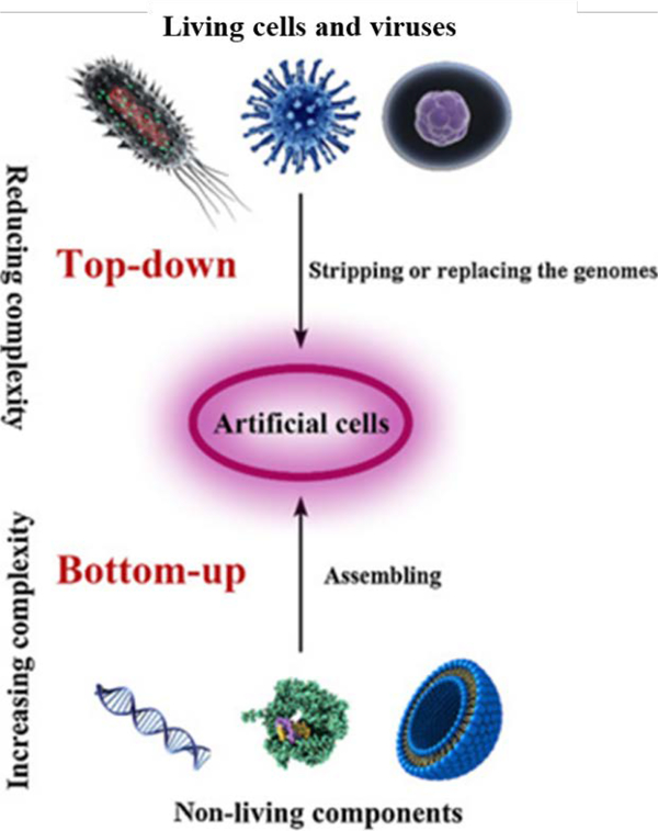 Figure 2.