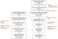 Figure 2: Results of data extraction from Cafcass and HES delivery records and linkage of Cafcass to HES, the Delivery Cohort and the First Live Birth Cohort