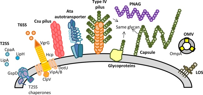 FIG 1