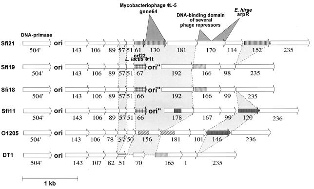 FIG. 5