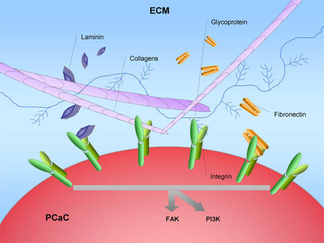 Fig. (4)