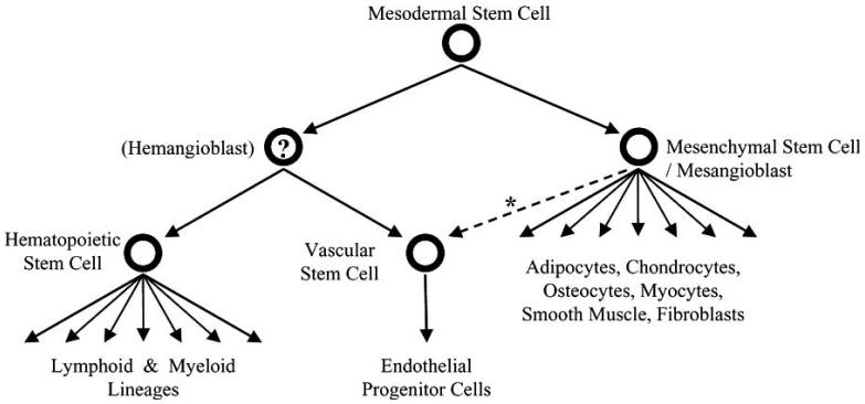 Fig. (3)