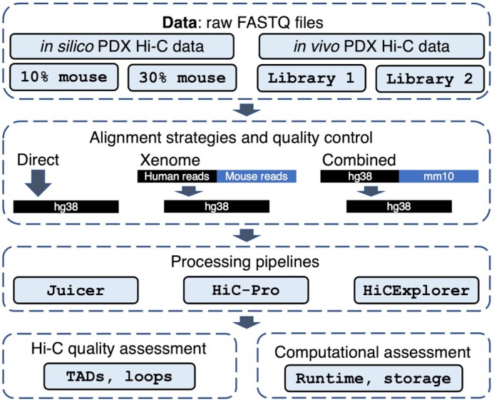 Figure 1: