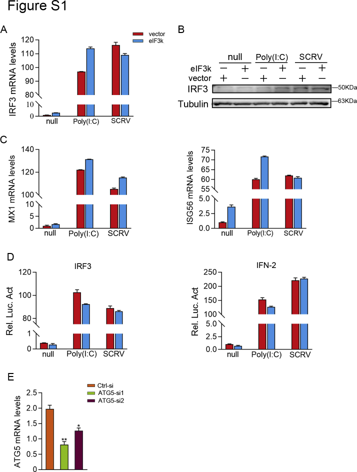 Supplemental Figure S1