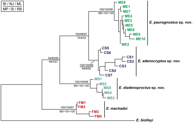 Figure 6