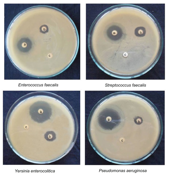 Figure 11