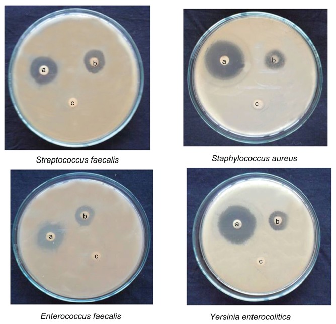 Figure 12