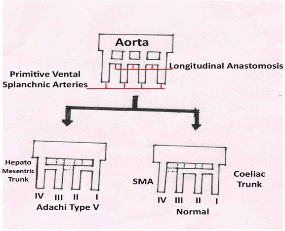 [Table/Fig-4]: