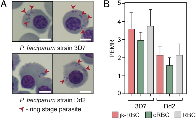 Fig. 4.