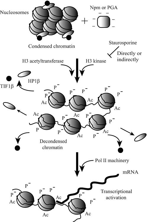 FIG. 7.