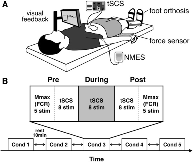 Fig. 1