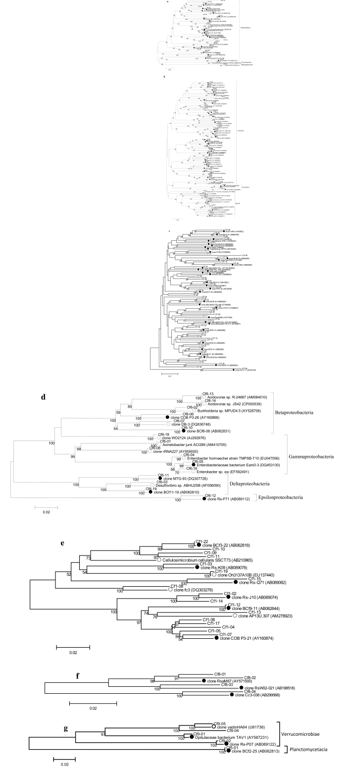 Fig. (1)