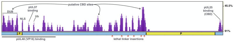 Fig. 8.4