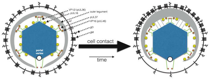 Fig. 8.5