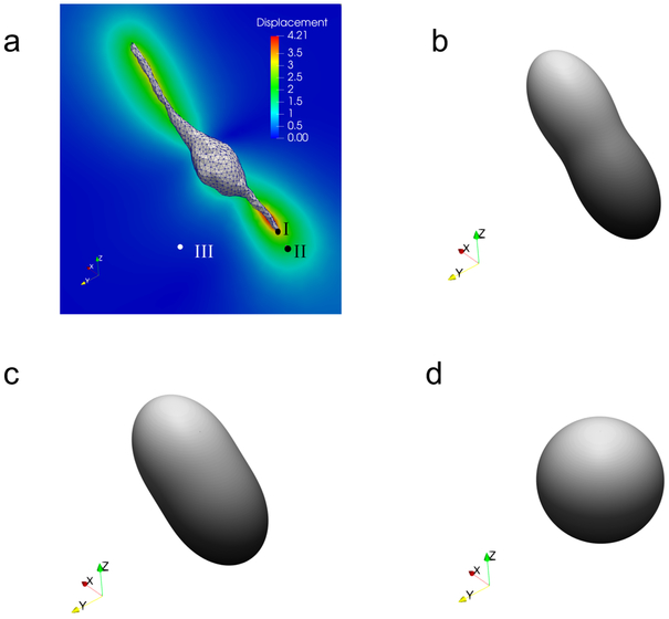 Figure 4: