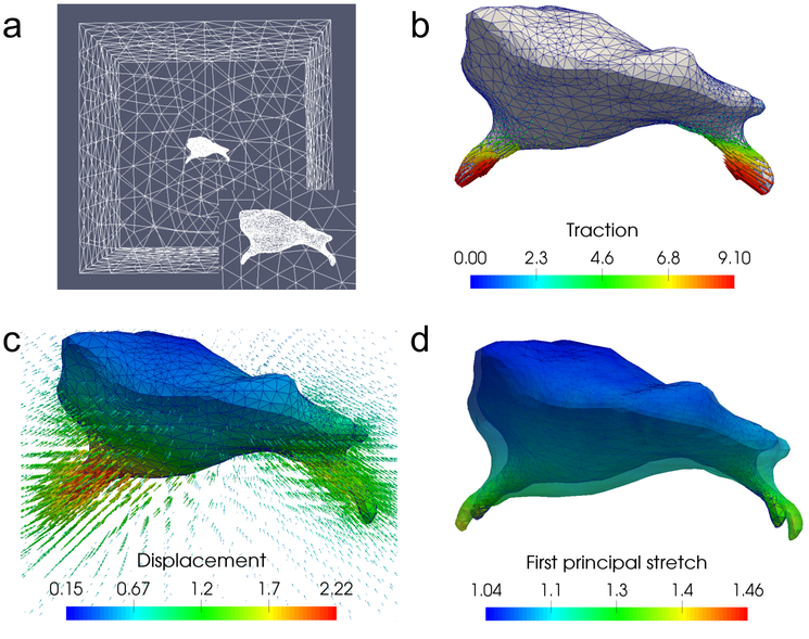 Figure 6: