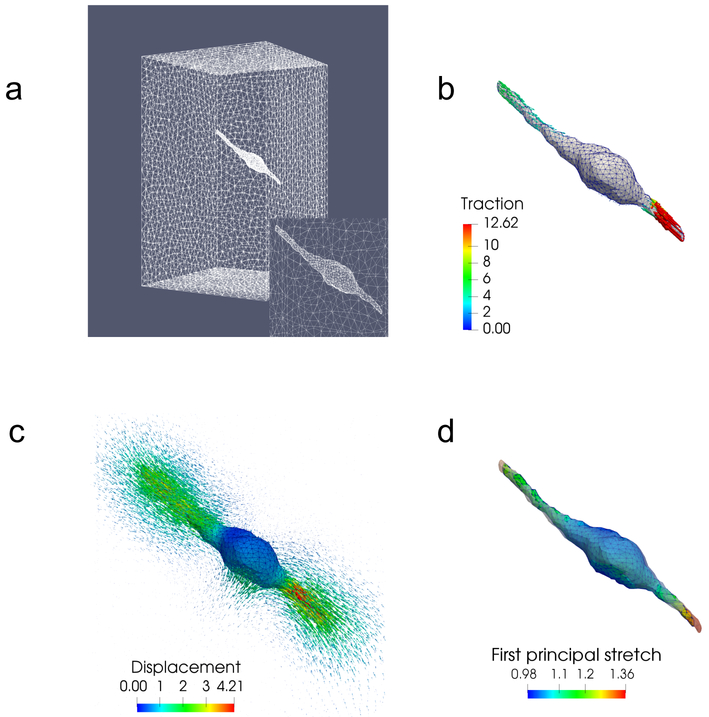 Figure 3: