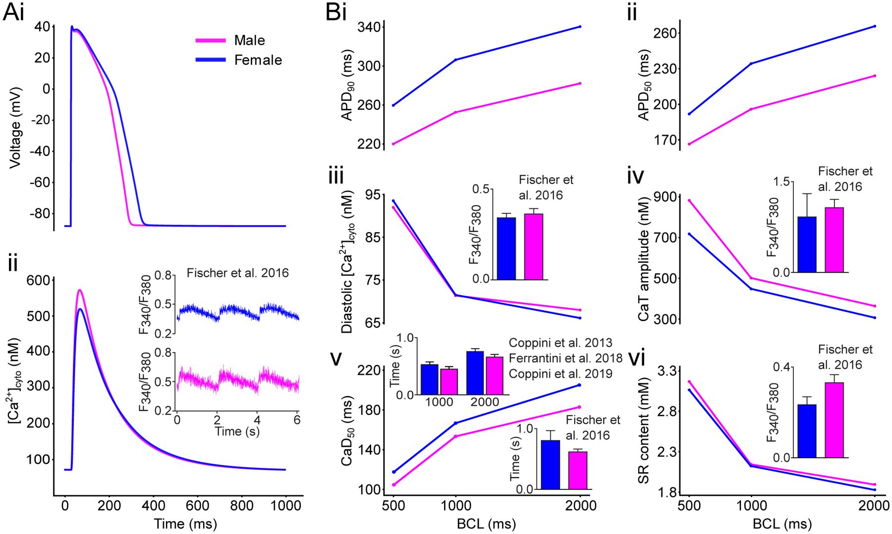 Figure 2: